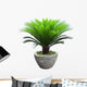 Sago Cycad Tree Wall Decal
