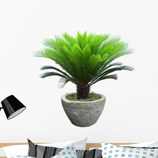 Sago Cycad Tree Wall Decal