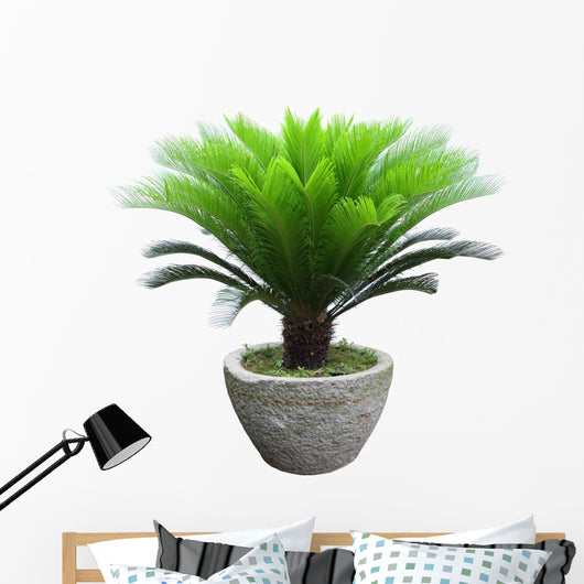Sago Cycad Tree Wall Decal