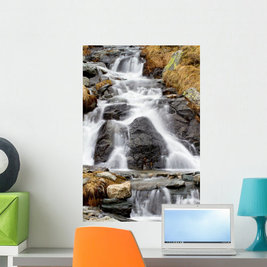 Disgelo Wall Decal