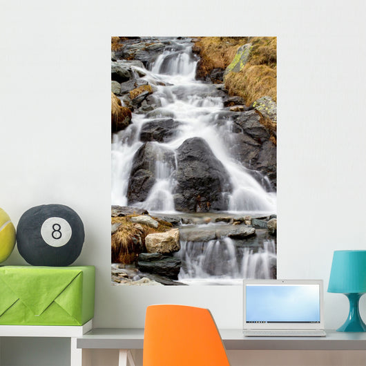 Disgelo Wall Decal