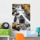 Disgelo Wall Decal