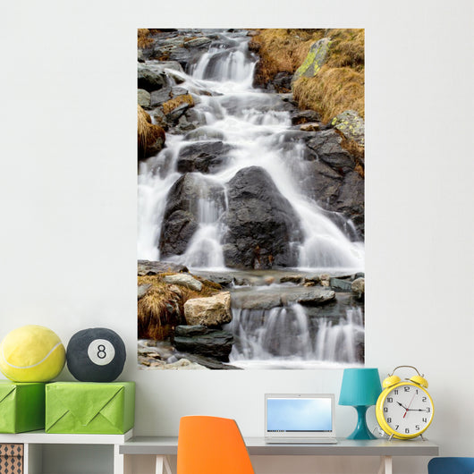 Disgelo Wall Decal