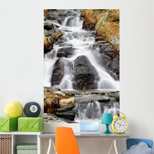 Disgelo Wall Decal