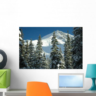 Winter Tatra Mountains Wall Decal shown on a wall