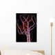 Brain Arteries and Veins Wall Decal