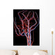 Brain Arteries and Veins Wall Decal