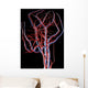 Brain Arteries and Veins Wall Decal