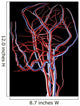 Brain Arteries and Veins Wall Decal