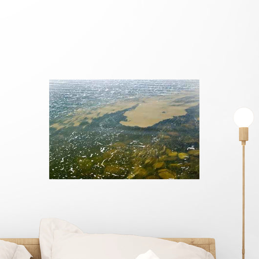 Algae Bloom Wall Decal