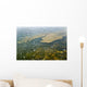 Algae Bloom Wall Decal