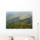 Algae Bloom Wall Decal