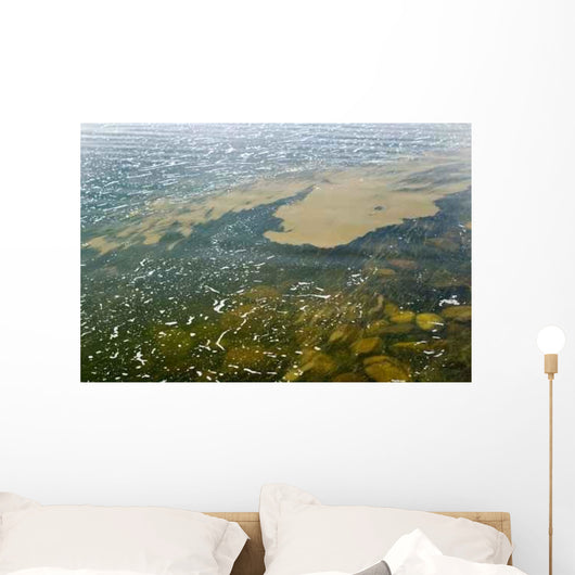 Algae Bloom Wall Decal