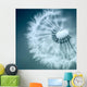 Dandelion Wall Decal