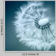 Dandelion Wall Decal