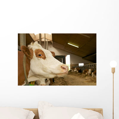 Cowshed Wall Decal shown on a wall