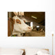 Cowshed Wall Decal