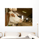 Cowshed Wall Decal