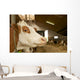 Cowshed Wall Decal