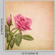 Pink Rose Wall Decal