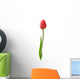 Beautiful Red Tulip White Wall Decal