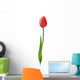 Beautiful Red Tulip White Wall Decal