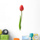 Beautiful Red Tulip White Wall Decal