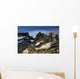 Gentoo Penguin Portrait Antarctica Wall Mural