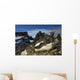 Gentoo Penguin Portrait Antarctica Wall Mural