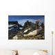 Gentoo Penguin Portrait Antarctica Wall Mural