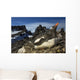 Gentoo Penguin Portrait Antarctica Wall Mural