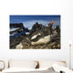 Gentoo Penguin Portrait Antarctica Wall Mural