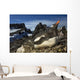 Gentoo Penguin Portrait Antarctica Wall Mural
