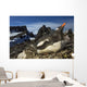 Gentoo Penguin Portrait Antarctica Wall Mural