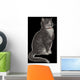 Dignified Grey Tabby Cat Wall Mural