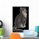 Dignified Grey Tabby Cat Wall Mural