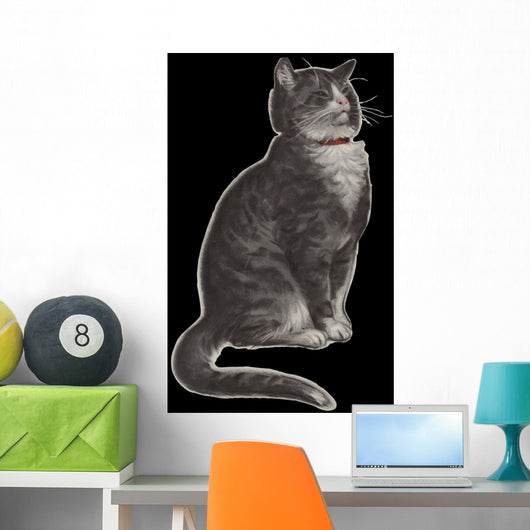 Dignified Grey Tabby Cat Wall Mural