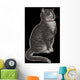 Dignified Grey Tabby Cat Wall Mural