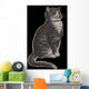 Dignified Grey Tabby Cat Wall Mural