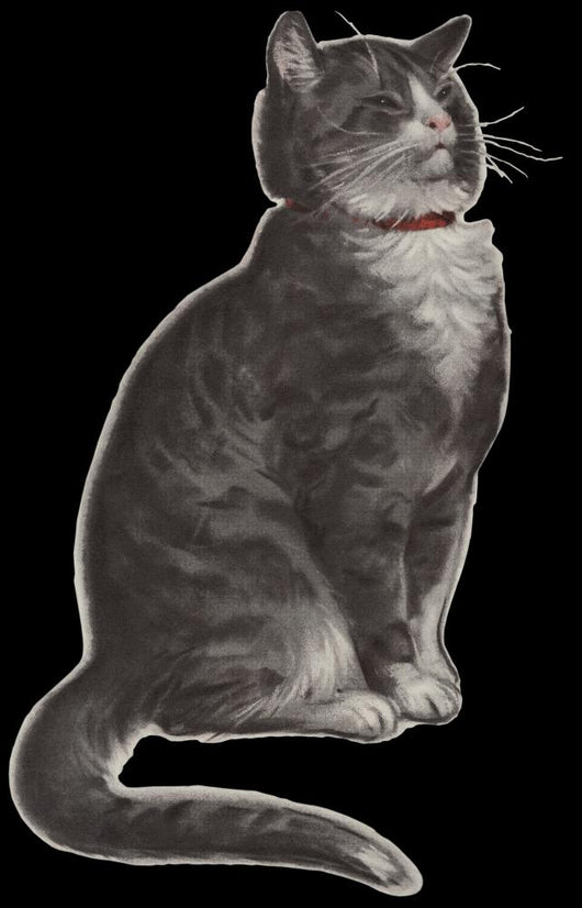 Dignified Grey Tabby Cat Wall Mural