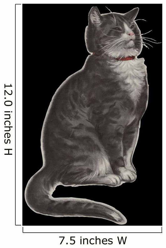 Dignified Grey Tabby Cat Wall Mural