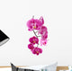 Orchid Flowers White Wall Decal