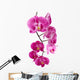 Orchid Flowers White Wall Decal