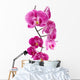 Orchid Flowers White Wall Decal