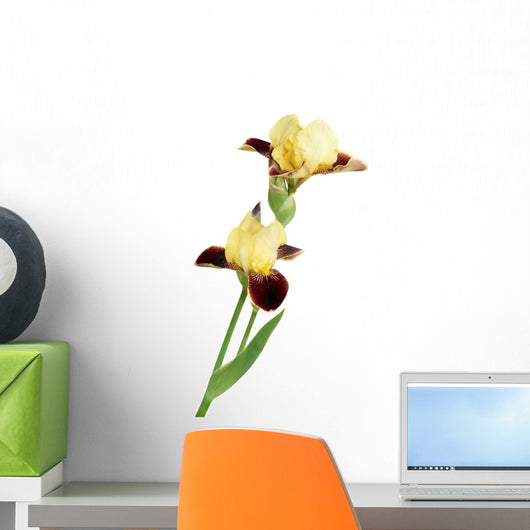 Yellow Iris Wall Decal