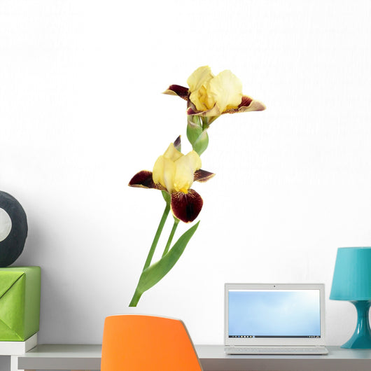 Yellow Iris Wall Decal