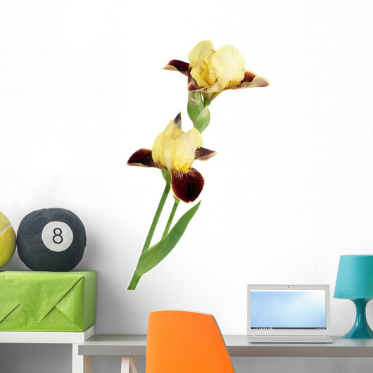 Yellow Iris Wall Decal