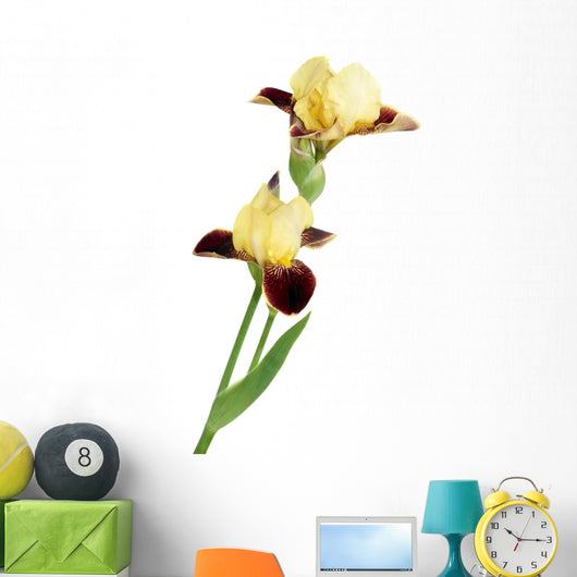 Yellow Iris Wall Decal