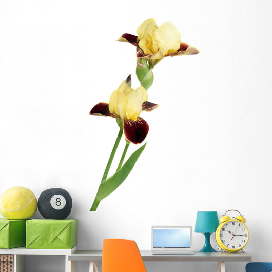 Yellow Iris Wall Decal