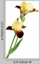 Yellow Iris Wall Decal